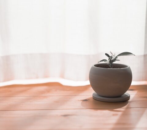 結婚するならやっぱり収入が大事って思っていますか？