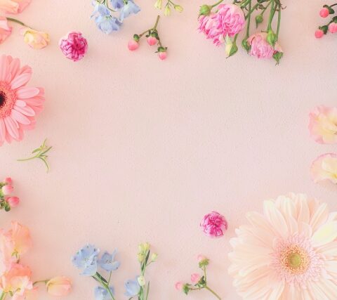 結婚相談所に入会した後はどんなことをするの？活動スタートまでの流れをわかりやすく紹介