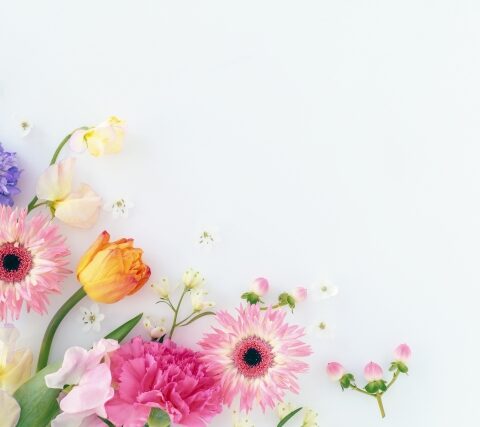 結婚相談所ってどんなところ？入会までの流れをわかりやすく解説