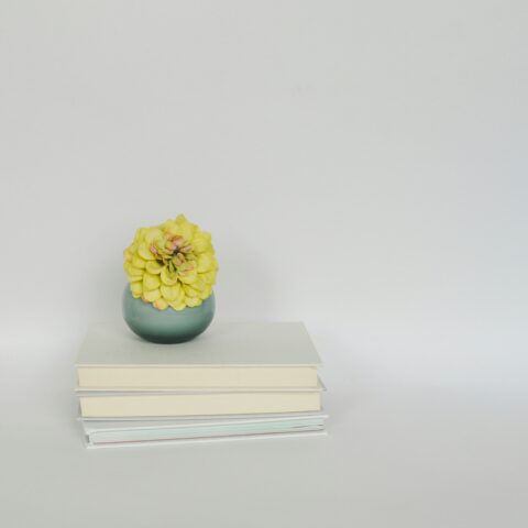 婚活が長引く理由｜「もっといい人がいるかも」と思っているうちに、本当に大切なご縁を見逃してしまうことも