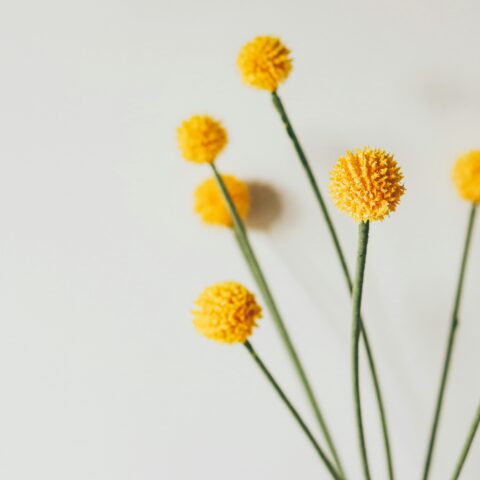 自分を偽らないといけない婚活なんて、嫌だな…と思っているあなたへ